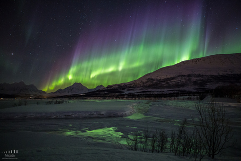 From Tromsø: Northern Lights Tour From Tromsø: All inclusive Northern Lights Tour