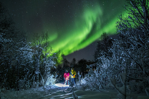 Da Tromsø: Tour dell&#039;aurora borealeDa Tromsø: tour all inclusive a caccia dell&#039;aurora boreale