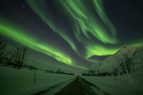 Vanuit Tromsø: Noorderlicht TourVanuit Tromsø: all-inclusive noorderlichttour