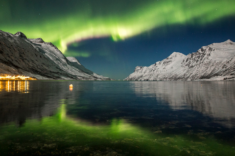 Desde Tromsø: Excursión a la Aurora BorealDesde Tromsø: Excursión a la Aurora Boreal con todo incluido