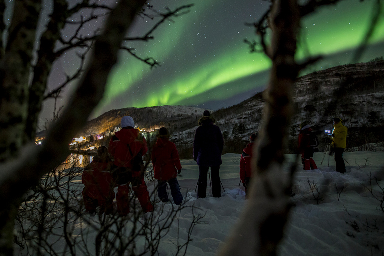 Vanuit Tromsø: Noorderlicht TourVanuit Tromsø: all-inclusive noorderlichttour