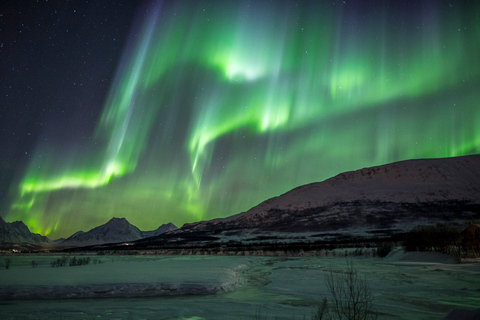 Vanuit Tromsø: Noorderlicht TourVanuit Tromsø: all-inclusive noorderlichttour