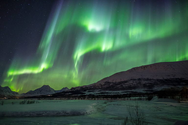 Desde Tromsø: Excursión a la Aurora BorealDesde Tromsø: Excursión a la Aurora Boreal con todo incluido