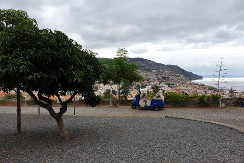 Funchal: tour guidato della città in tuk-takuFunchal: tour guidato della città in tuk-tuk