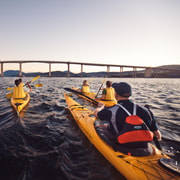 Hobart City 2.5-Hour Kayak Tour