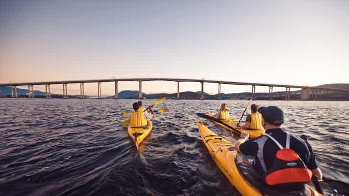 hobart city 2.5hour kayak tour
