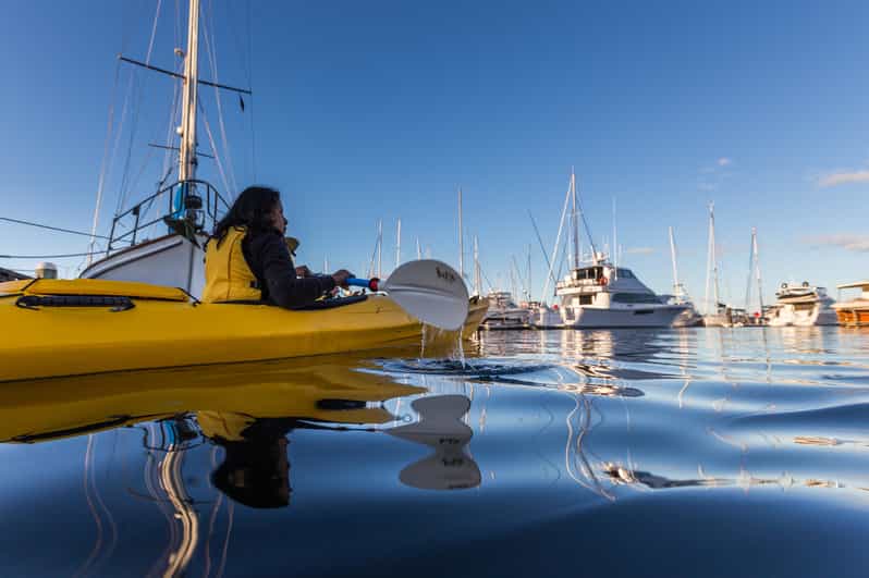 Hobart tour en kayak de 2,5 horas GetYourGuide