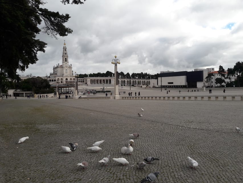 Da Lisbona Tour Privato Di Fatima Di Mezza Giornata Getyourguide