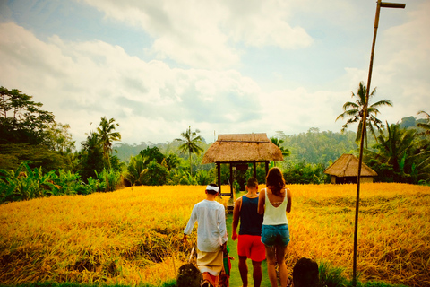 Ubud: Halvdags halvdags privat tur med levande guideUbud: Halvdags skräddarsydd privat rundtur med live guide