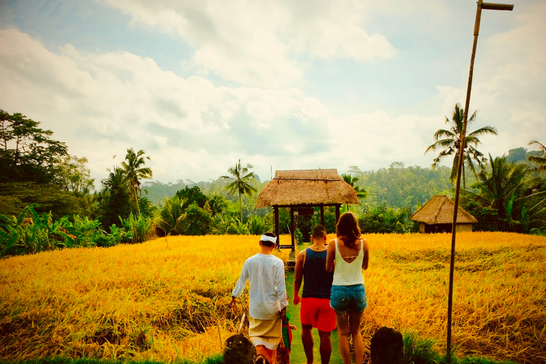 Ubud: półdniowa, częściowo dostosowana prywatna wycieczka z przewodnikiem na żywo