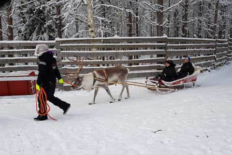 Rovaniemi: Husky Park and Reindeer Farm Combo by Minibus