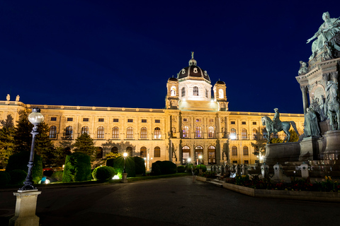 Viena: Tour noturno panorâmico de ônibusViena: Passeio de Ônibus Turístico à Noite