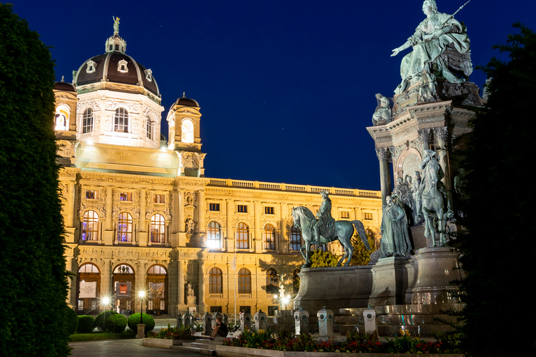 Vienna: Panoramic Night Tour by Bus