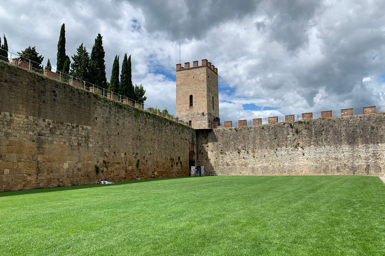 Florence: visite matinale de Pise avec tour penchée en optionVisite privée en anglais ou en italien sans tour penchée