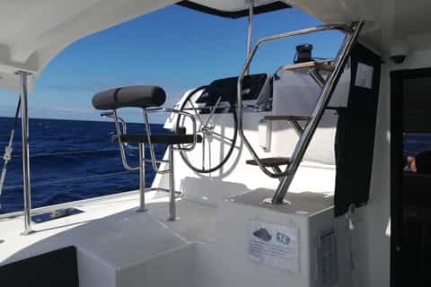 Funchal Bay: Dolphin & Whale Watch Luxury Catamaran Cruise