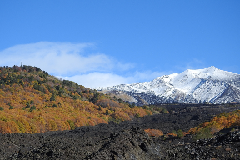 Taormina and Catania: Private guided Etna hike by cable car From Taormina or Catania: Private Etna Cable Car Hike