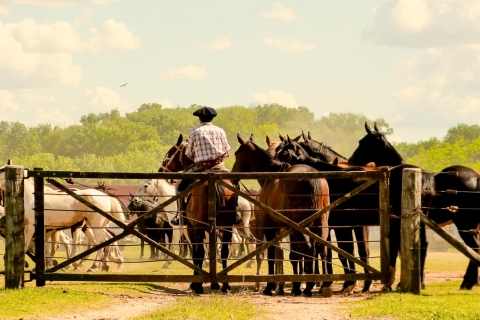 Z Buenos Aires: Gaucho i Ranch w San Antonio de Areco