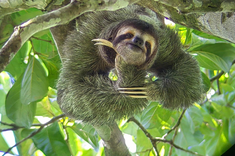 De San José au parc national Manuel Antonio visite guidée