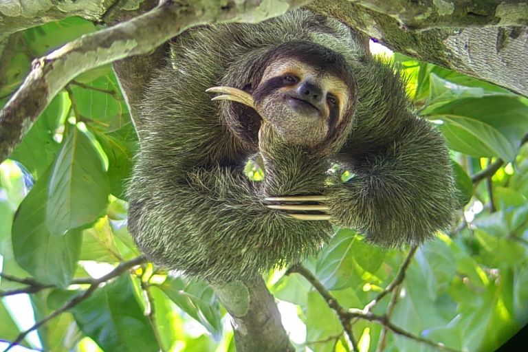 De San José ao Parque Nacional Manuel Antonio Tour guiado