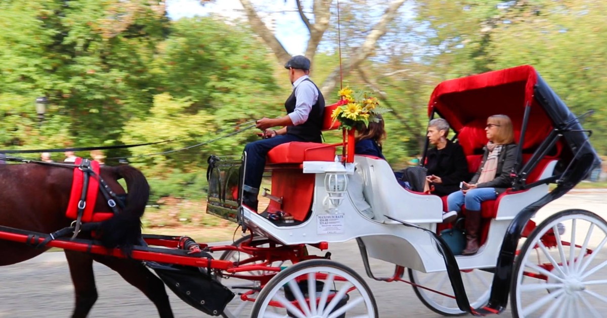 central park buggy rides