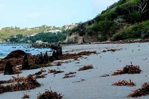 barbados bath to bathsheba run or hike