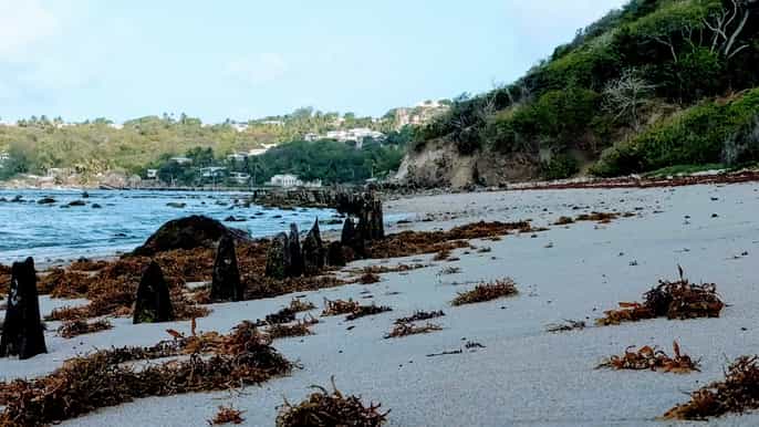 barbados bath to bathsheba run or hike