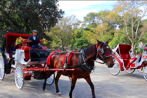 Central Park: passeio curto de carruagem (até 4 adultos)Central Park: Passeio de Carruagem em Circuito Reduzido