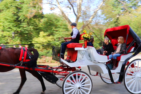 Central Park: Short Horse Carriage Ride (Up to 4 Adults)Central Park: Short Loop Horse Carriage Ride