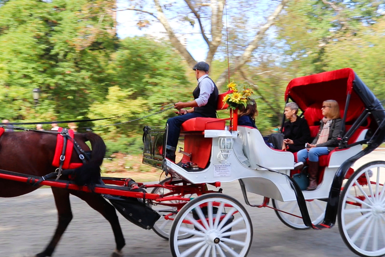 Central Park: passeio curto de carruagem (até 4 adultos)Central Park: Passeio de Carruagem em Circuito Reduzido