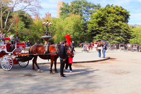 Central Park: Kort tur med häst och vagn (Upp till 4 Vuxna)Central Park: Short Loop Horse Carriage Ride