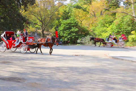 Central Park: Kort tur med häst och vagn (Upp till 4 Vuxna)Central Park: Short Loop Horse Carriage Ride