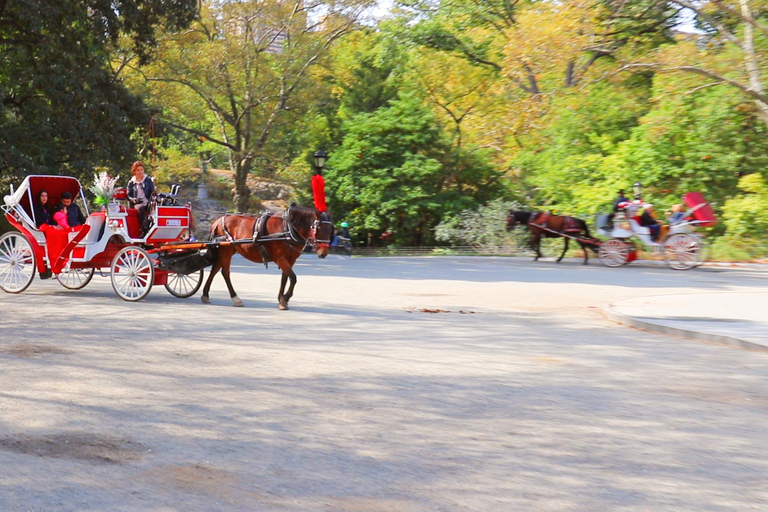 Central Park: Fahrt mit der Pferdekutsche