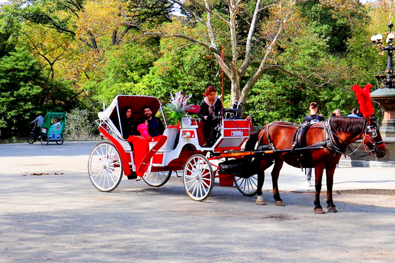 Central Park: Kort tur med häst och vagn (Upp till 4 Vuxna)Central Park: Short Loop Horse Carriage Ride