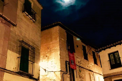 Toledo: Templar Order Tour in Spanish Toledo: Templar Order Tour