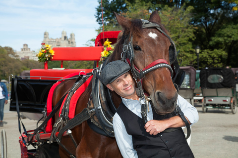 Central Park: Short Horse Carriage Ride (Up to 4 Adults)Central Park: Short Loop Horse Carriage Ride