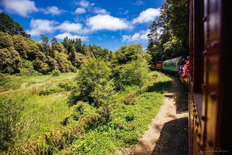 Mendocino County: Skunk Train Pudding Creek Train Ride | GetYourGuide