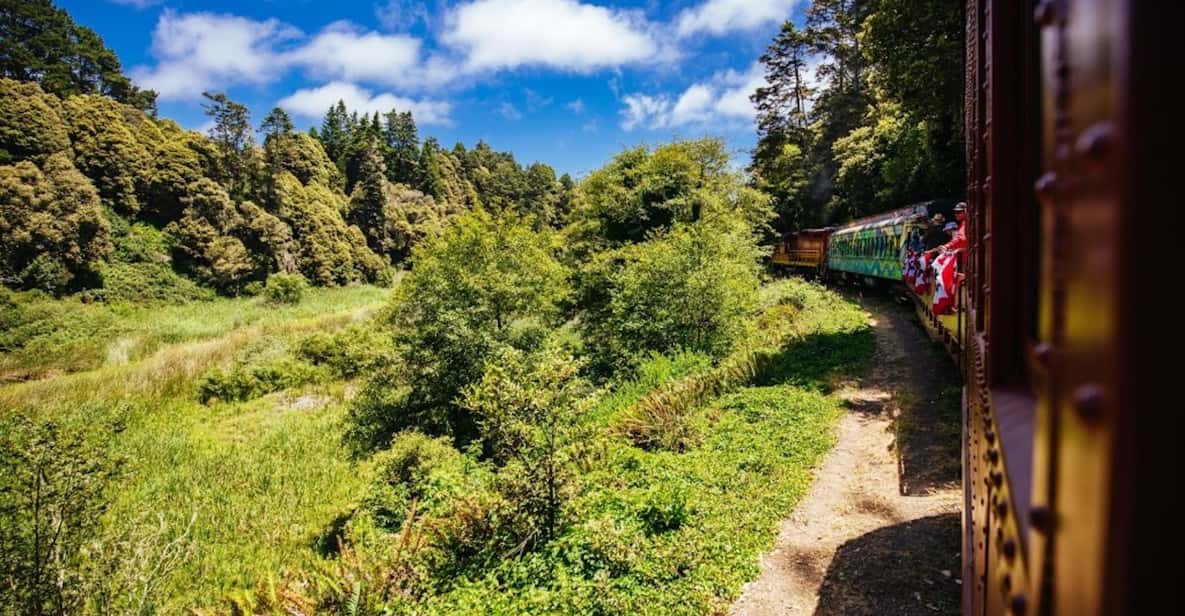 Mendocino County: Skunk Train Pudding Creek Train Ride