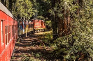 Mendocino County: Skunk Train Pudding Creek Train Ride