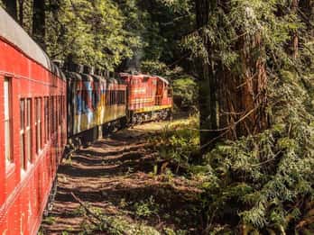 Mendocino County: Zugfahrt mit dem Skunk Train Pudding Creek Mendocino County: Zugfahrt mit dem Skunk Train Pudding Creek