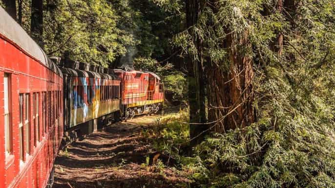 mendocino county zugfahrt mit dem skunk train pudding creek