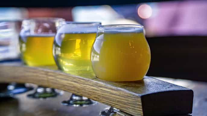 new york city visite souterraine du brew de brooklyn