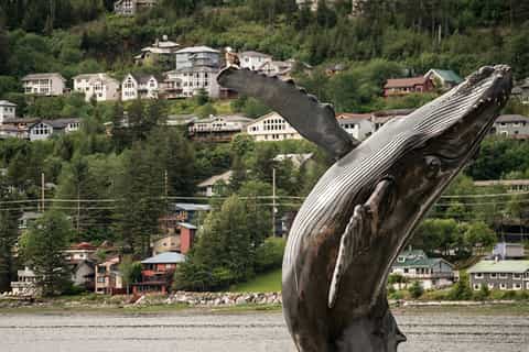 Juneau: City Trolley and Macaulay Salmon Hatchery Tour