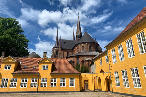 Roskilde Cathedral, Viking Museum and Forest tower tour