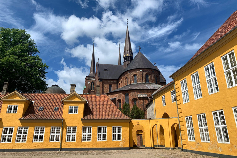 Roskilde Cathedral, Viking Museum and Forest tower tour