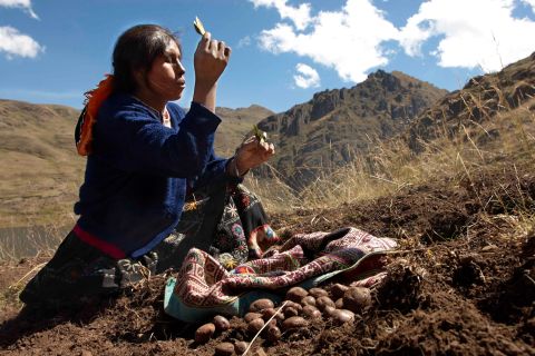 From Cusco: Indigenous Potato Farm Cultural Experience