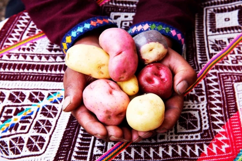 Desde Cusco: experiencia cultural de la granja indígena de papa