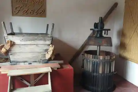 En provenance d'Alicante et d'Elche : Vignoble rural familial (dégustation)