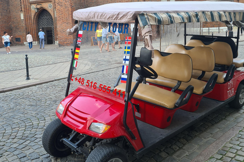 Gdansk: City tour compartilhado ou particular com passeio turístico em carrinho de golfeTour compartilhado em grupo a partir do ponto de encontro