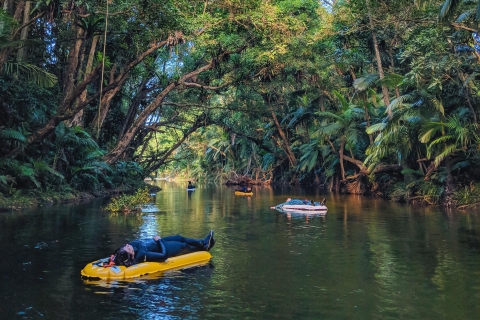 Mossman Gorge: Day Tour with River Drift Experience Port Douglas Pickup
