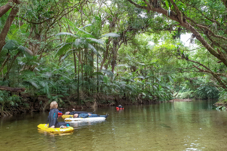 Gorges de la Mossman : excursion d&#039;une journée avec dérive de la rivièreRamassage à Port Douglas